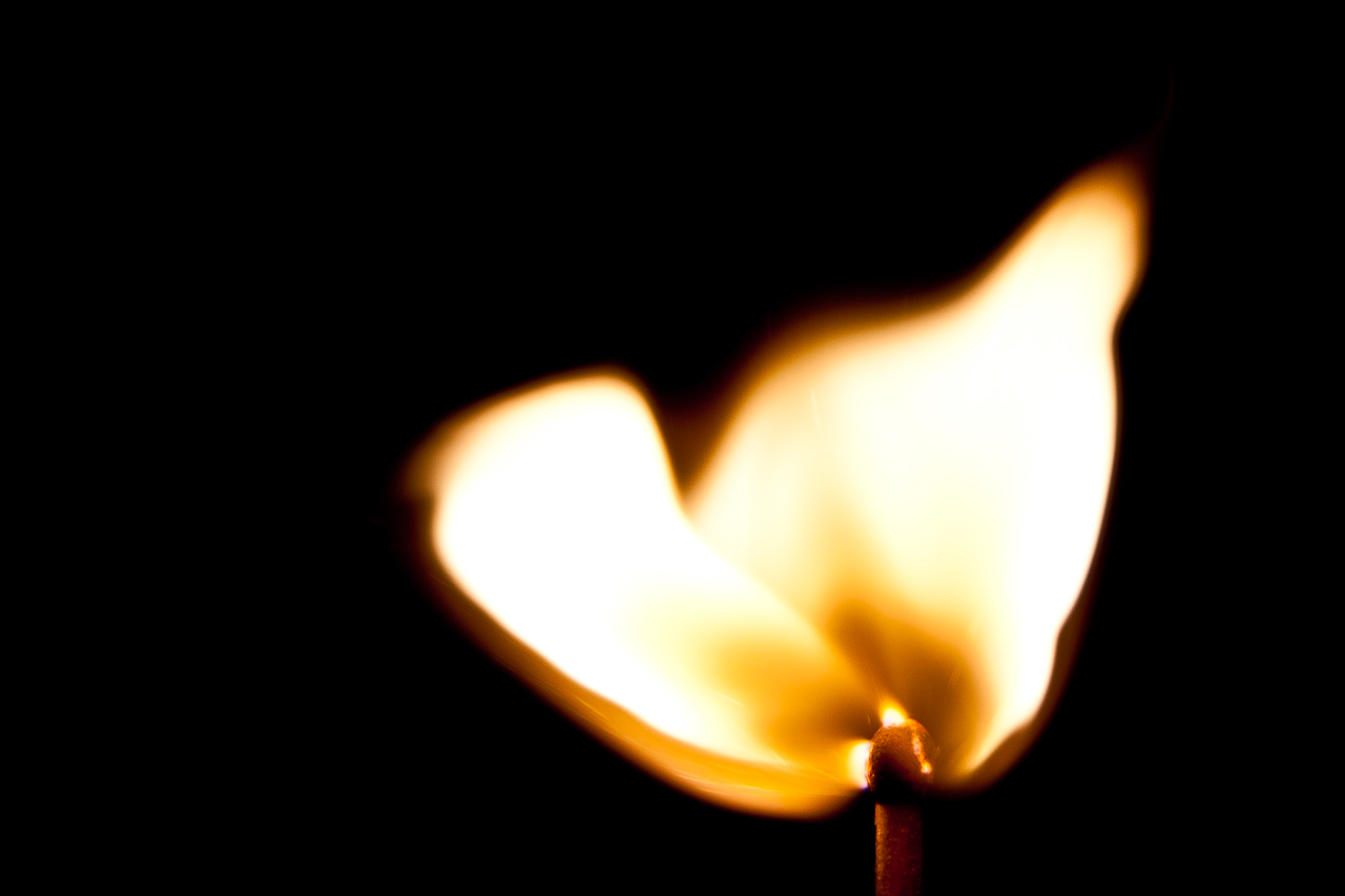 Ignition, Photo by Bart Souverijns